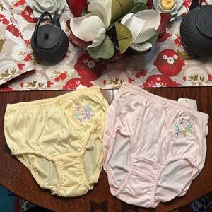 Rene Rofe’ Lingerie Pastel Floral Embroidered Hi Brief Cotton Blend Panties